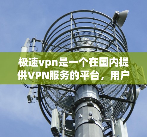 极速vpn是一个在国内提供VPN服务的平台，用户可以通过注册成功登录并使用其VPN功能。以下是一些关于极速vpn的常见用户资料和问题，供您参考