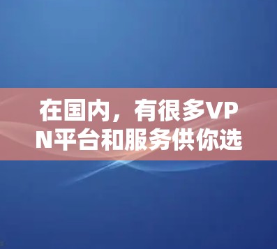在国内，有很多VPN平台和服务供你选择，以下是国内外一些主要的VPN平台，你可以根据自己的需求来选择