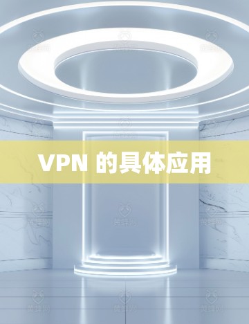 VPN 的具体应用
