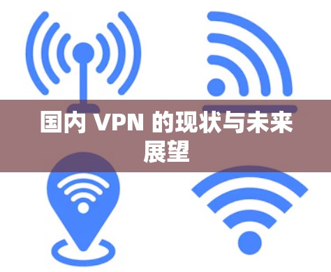 国内 VPN 的现状与未来展望