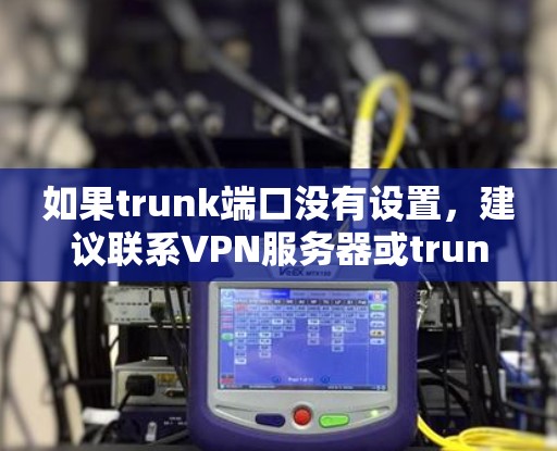 如果trunk端口没有设置，建议联系VPN服务器或trunk server的管理员，以确认trunk端口是否可用，并按照要求进行配置