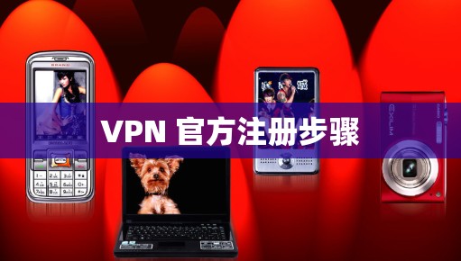 VPN 官方注册步骤