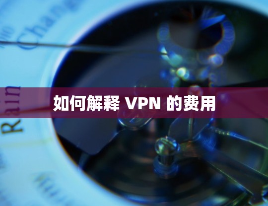 如何解释 VPN 的费用