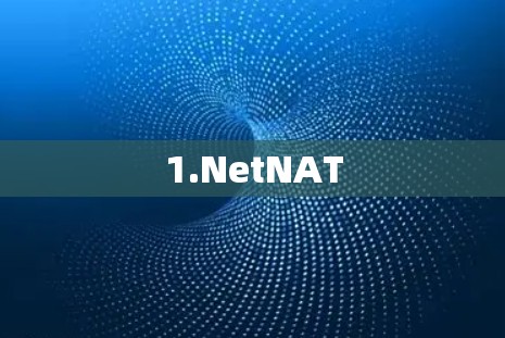 1.NetNAT