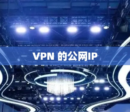 VPN 的公网IP