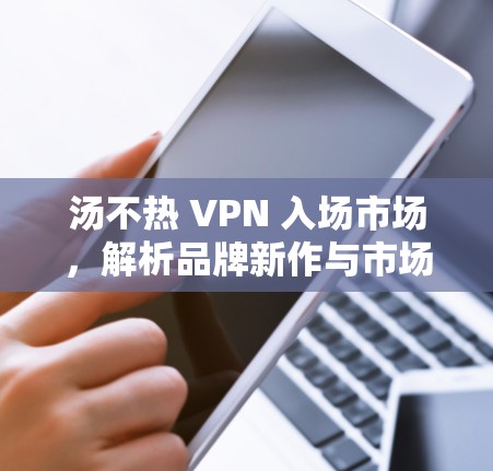 汤不热 VPN 入场市场，解析品牌新作与市场反应