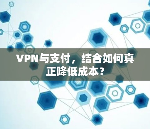 VPN与支付，结合如何真正降低成本？