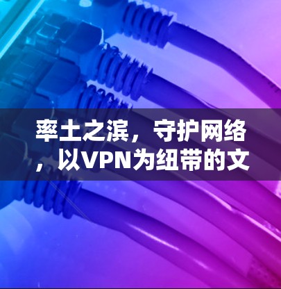 率土之滨，守护网络，以VPN为纽带的文明之治