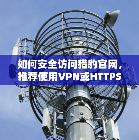 如何安全访问猎豹官网，推荐使用VPN或HTTPS