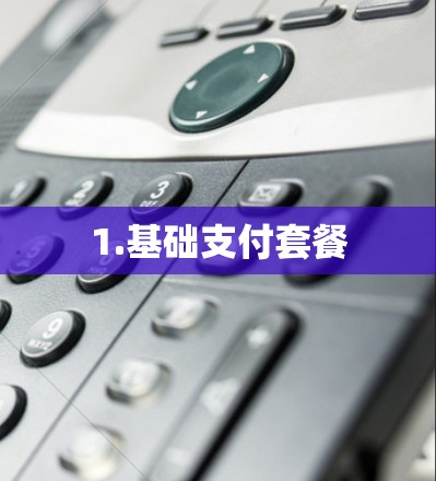 1.基础支付套餐