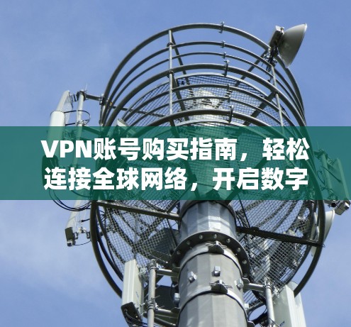 VPN账号购买指南，轻松连接全球网络，开启数字之旅