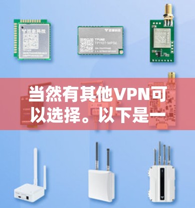 当然有其他VPN可以选择。以下是一些值得推荐的VPN服务
