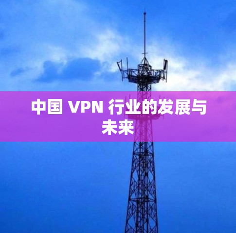 中国 VPN 行业的发展与未来