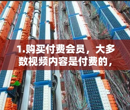 1.购买付费会员，大多数视频内容是付费的，通过购买付费会员可以下载这些内容。例如，购买观看特定视频的会员，可以在Bilibili 上下载视频