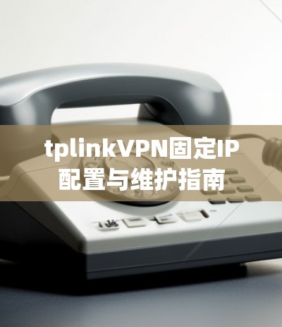 tplinkVPN固定IP配置与维护指南