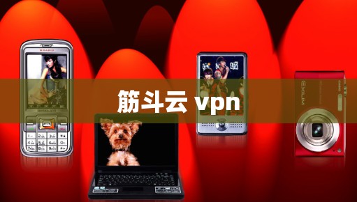 筋斗云 vpn