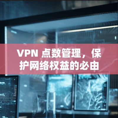 VPN 点数管理，保护网络权益的必由之路