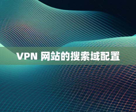 VPN 网站的搜索域配置
