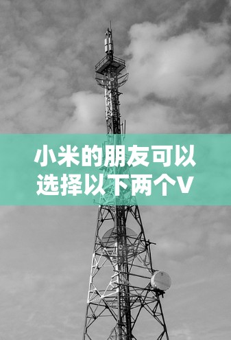 小米的朋友可以选择以下两个VPN服务，以满足不同的需求和用户习惯
