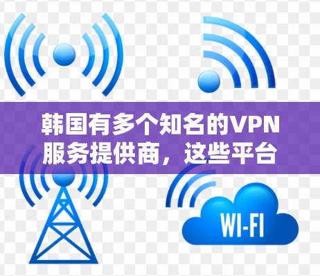 韩国有多个知名的VPN服务提供商，这些平台通常会提供丰富的VPN服务，包括流媒体、视频会议等。以下是一些韩国知名的VPN服务提供商及其可能的主机地址