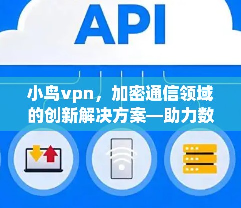 小鸟vpn，加密通信领域的创新解决方案—助力数据安全与私密化保护