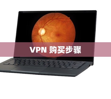 VPN 购买步骤