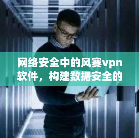 网络安全中的风赛vpn软件，构建数据安全的绿色未来