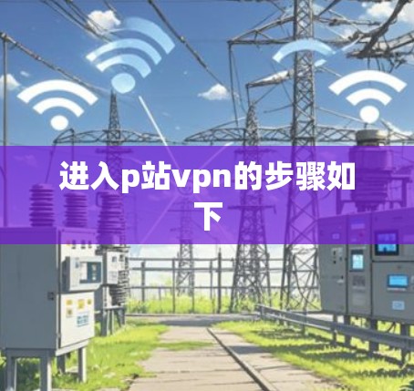 进入p站vpn的步骤如下