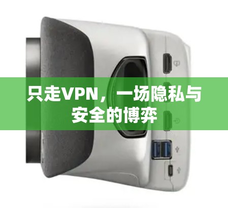 只走VPN，一场隐私与安全的博弈