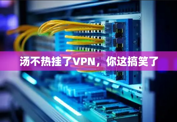 汤不热挂了VPN，你这搞笑了
