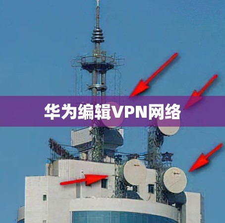 华为编辑VPN网络