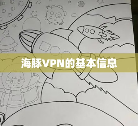海豚VPN的基本信息