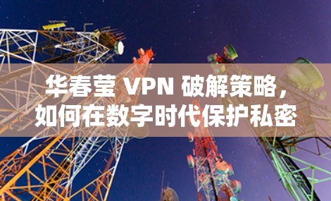 华春莹 VPN 破解策略，如何在数字时代保护私密性