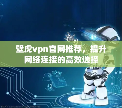 壁虎vpn官网推荐，提升网络连接的高效选择