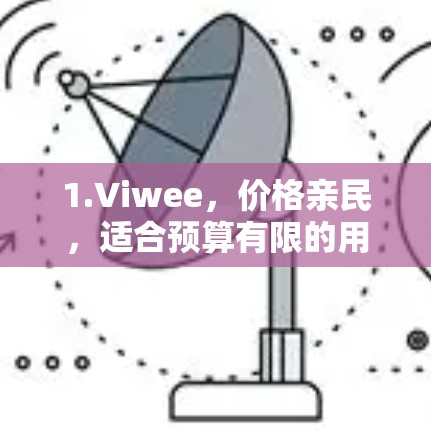 1.Viwee，价格亲民，适合预算有限的用户