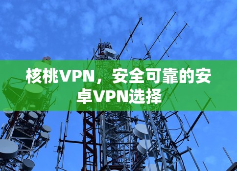 核桃VPN，安全可靠的安卓VPN选择