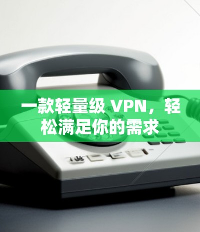 一款轻量级 VPN，轻松满足你的需求