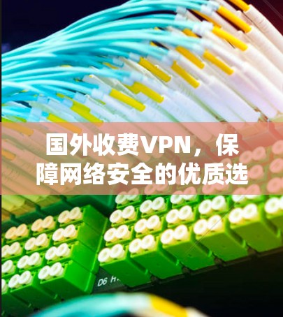 国外收费VPN，保障网络安全的优质选择