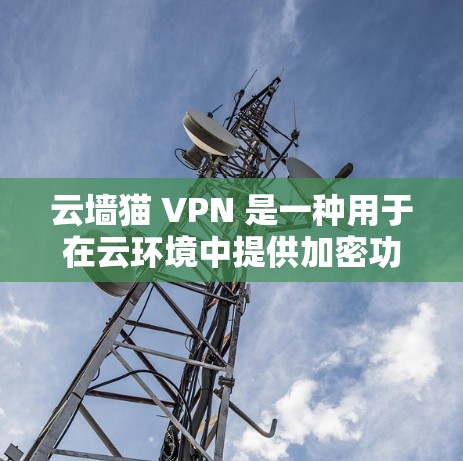 云墙猫 VPN 是一种用于在云环境中提供加密功能的软件，旨在保护用户的数据安全。以下是对云墙猫 VPN 的详细分析