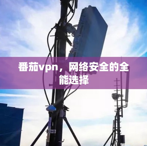 番茄vpn，网络安全的全能选择