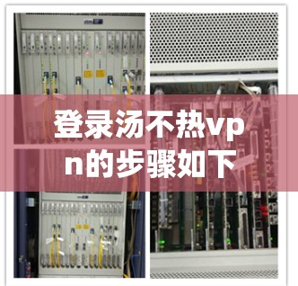 登录汤不热vpn的步骤如下