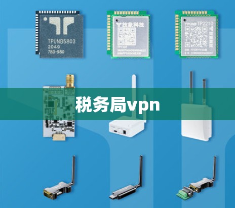 税务局vpn