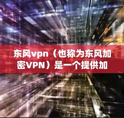 东风vpn（也称为东风加密VPN）是一个提供加密连接的网络VPN软件。以下是连接东风vpn的步骤指南