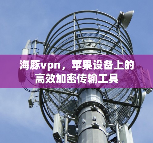 海豚vpn，苹果设备上的高效加密传输工具