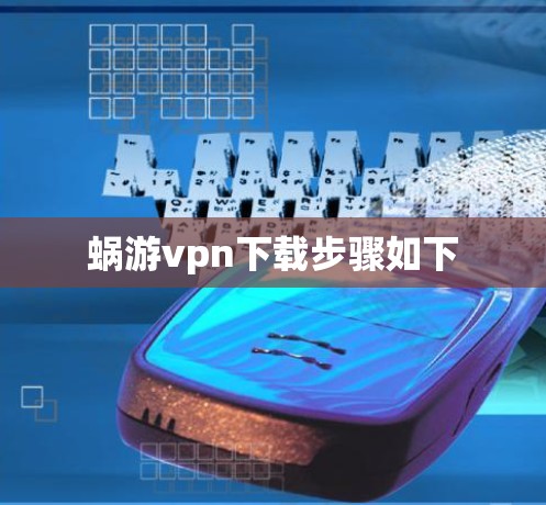蜗游vpn下载步骤如下