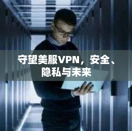 守望美服VPN，安全、隐私与未来