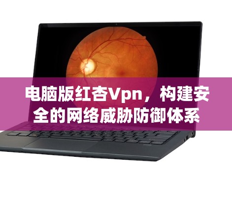 电脑版红杏Vpn，构建安全的网络威胁防御体系
