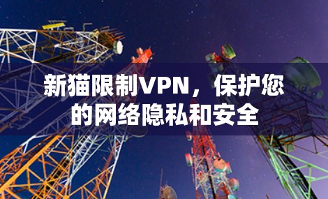 新猫限制VPN，保护您的网络隐私和安全