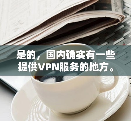是的，国内确实有一些提供VPN服务的地方。以下是几个国内常见的VPN服务