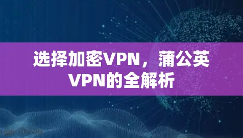 选择加密VPN，蒲公英VPN的全解析